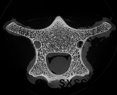 1626328111415991.png image.png