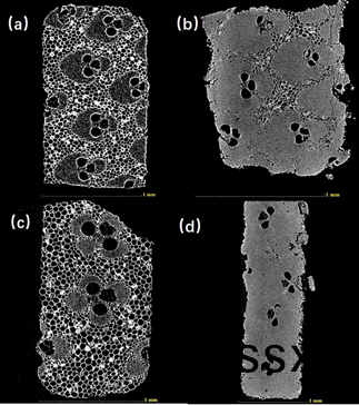 1627627192176101.png 1627627192176101.png