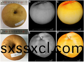 1631948629993885.png image.png