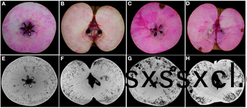 1631948658744638.png image.png