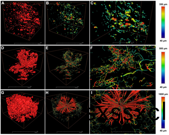 1631948700369221.png image.png