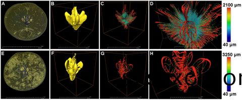 1631948730216139.png image.png