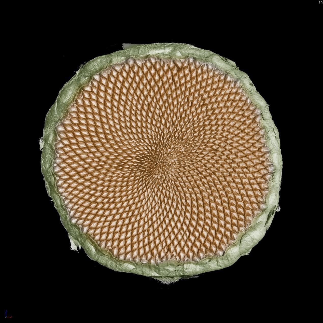 1637803910862303.jpg 1637803910862303.jpg