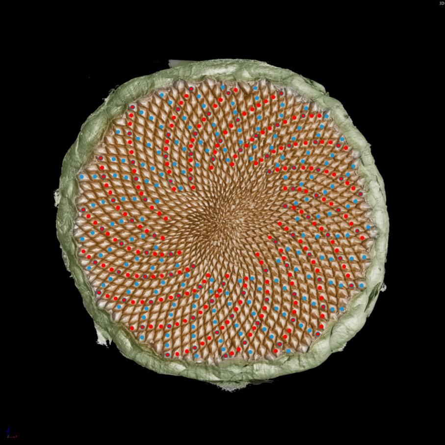 1637804019861964.jpg 1637804019861964.jpg