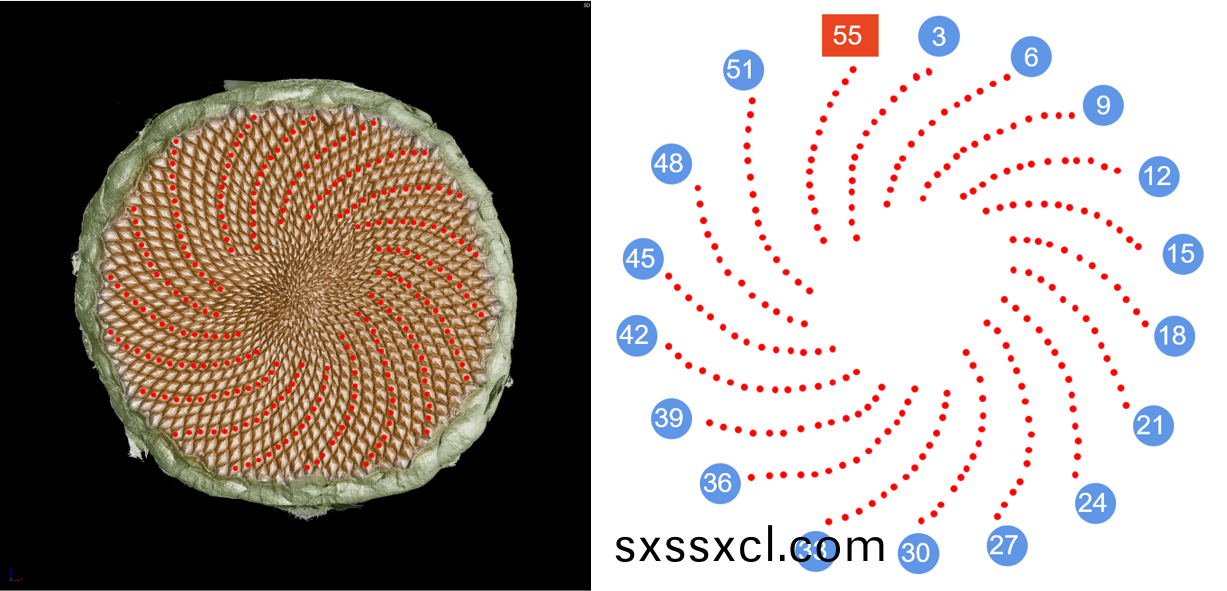 1637804160118374.png 1637804160118374.png