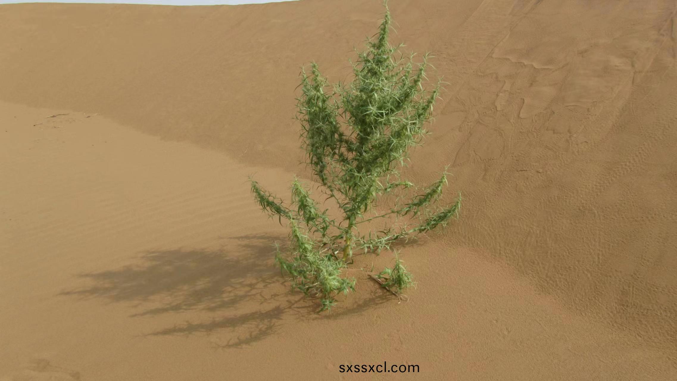 1655259904634985.jpg 圖(tu)1.jpg