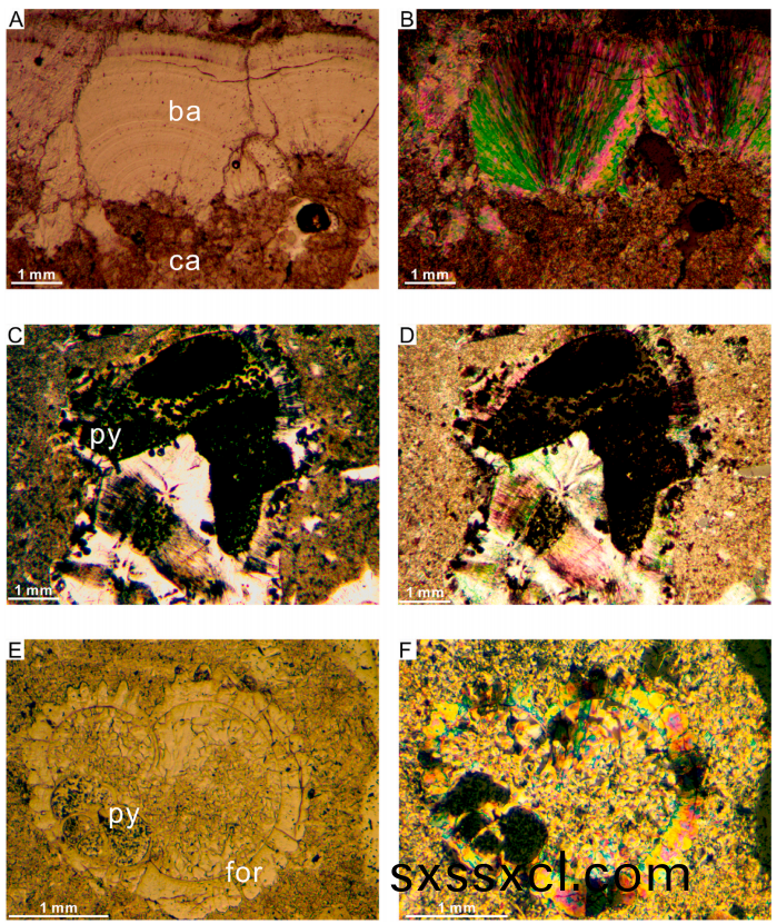 1693876644387759.png 5.png