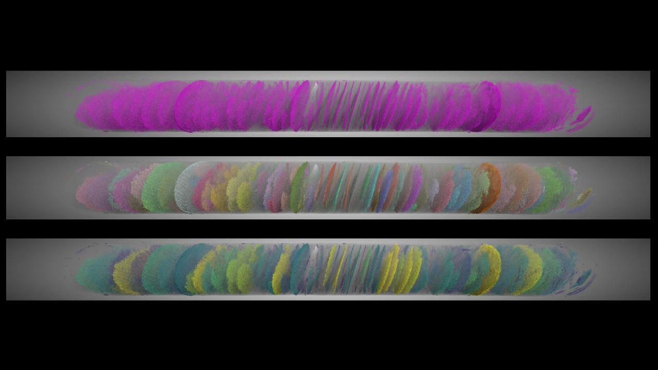 1732754982101081.jpg 1732754982101081.jpg