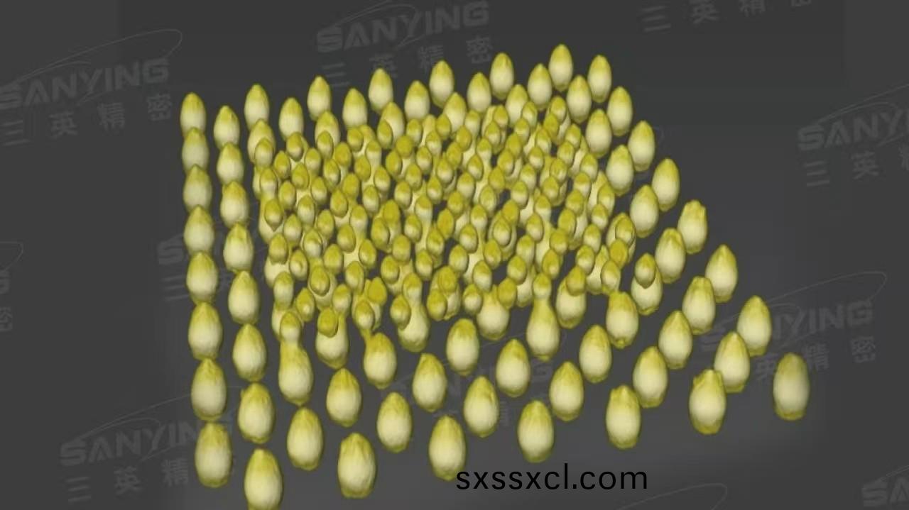 1754462481419775.jpg 1754462481419775.jpg