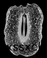 1596521090130037.jpg 1596521090130037.jpg