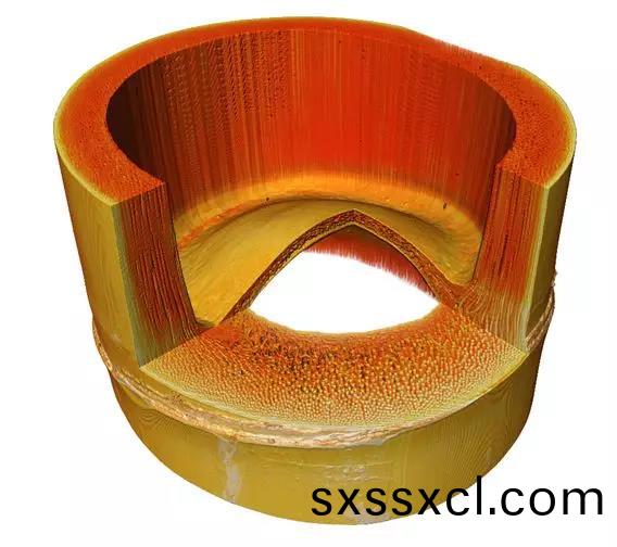 1596529272199366.jpg 植(zhi)樹節7.jpg