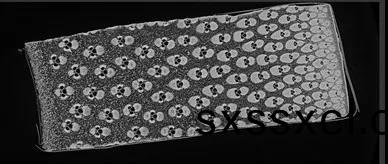 1596529332959608.jpg 植樹節8.jpg