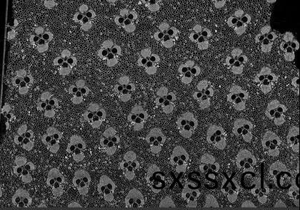 1596529375231295.jpg 植(zhi)樹(shu)節(jie)10.jpg