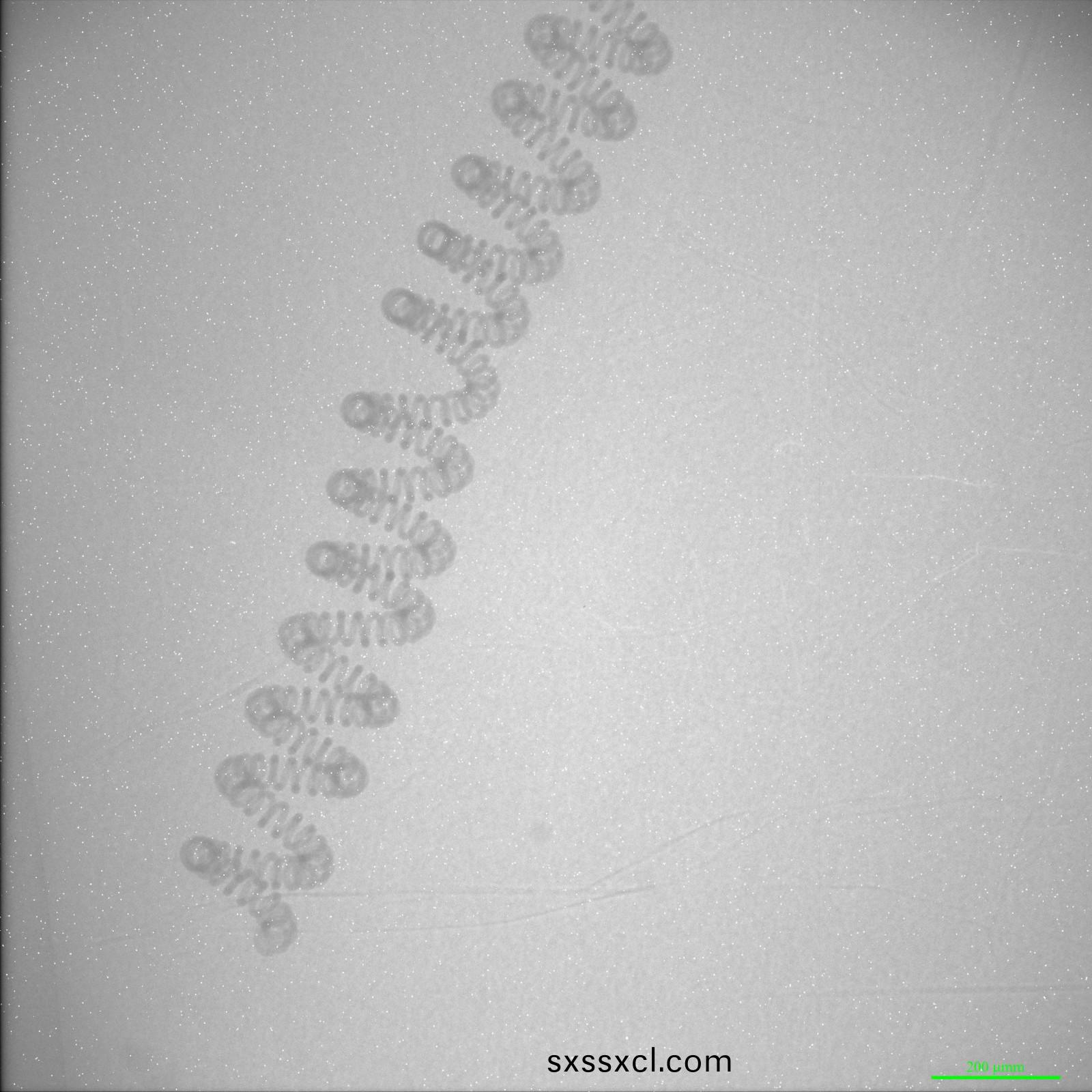 1596681500698276.jpg 1596681500698276.jpg