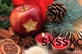 1609138214914231.png 蘋菓(guo)1.png