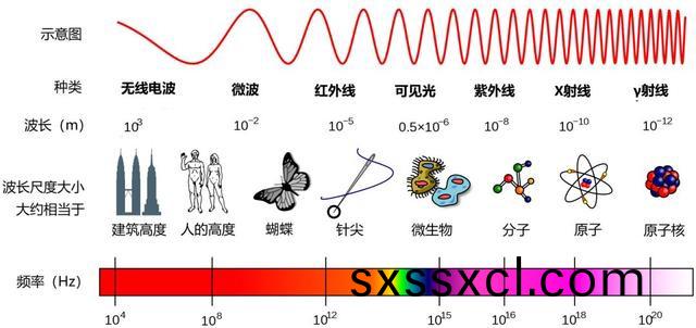 1611296971874744.jpg 1611296971874744.jpg