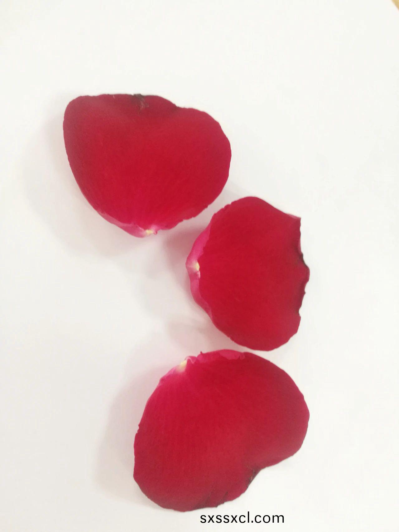 1617082563327350.jpg 1617082563327350.jpg