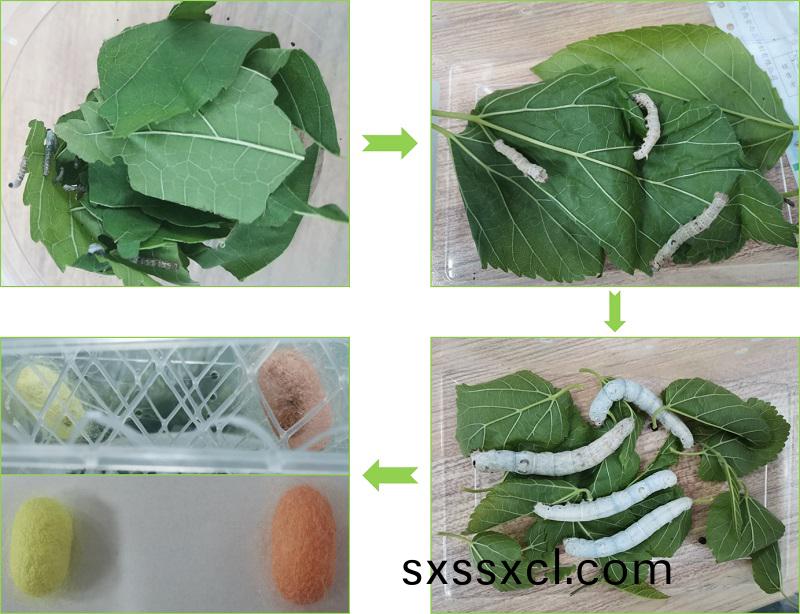 1617089570639509.jpg 1617089570639509.jpg