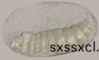 1617090099522689.png 1617090099522689.png