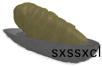 1617090128443438.png 1617090128443438.png