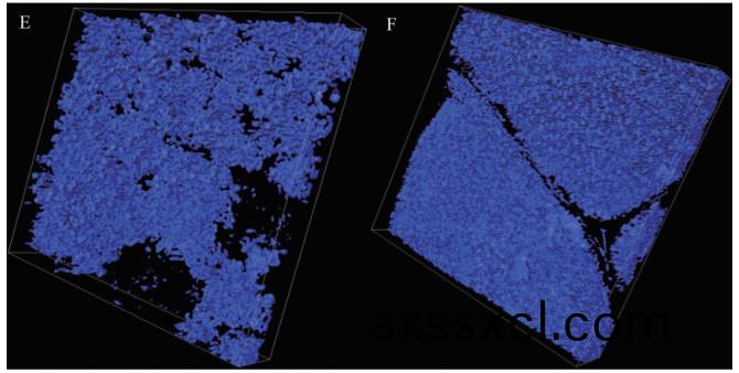 1617255187255073.jpg 黃瓜444.jpg