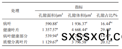 1617255207527841.png 黃瓜555.png