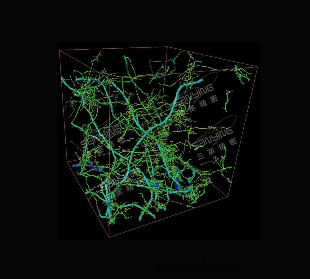 泥(ni)土(tu)中根(gen)係(xi)