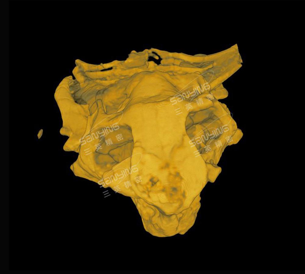 恐(kong)龍頭骨化(hua)石