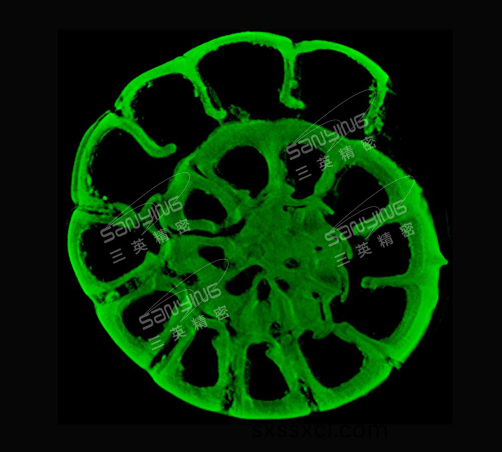 多孔(kong)蟲(chong)