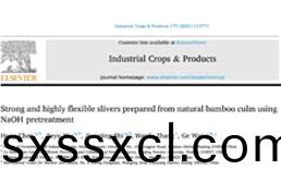 工(gong)業(ye)CT-植(zhi)物CT